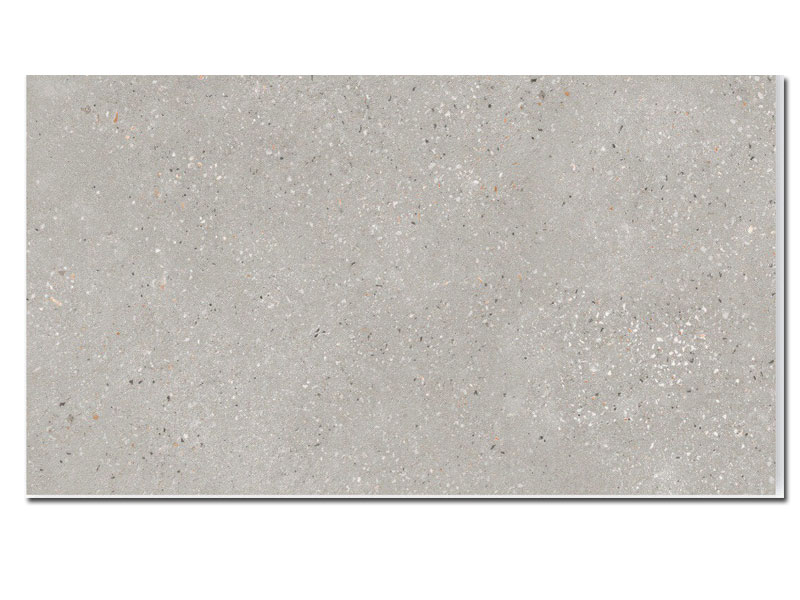 KORU GREY 60X120
