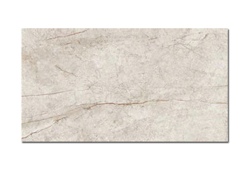 RAIN FOREST WHITE 60X120